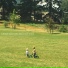 The Small Talk