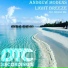Andrew Modens