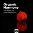 Zen Music Garden & Lullabies for Deep Meditation