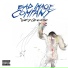 Bad Image Company