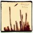 Alejandro Escovedo