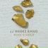 JJ Weeks Band