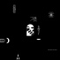 The Hacker