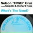 Nelson "FFWD" Cruz feat. Camille, Richard Rose
