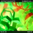 Echospace