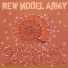 New Model Army