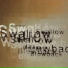 Swallow