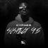 Suspect 95
