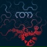 Cord