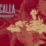 Calla