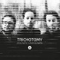 Trichotomy