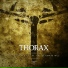 Thorax
