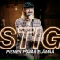 STIG