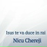 Nicu Chereji