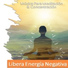 Music Meditative Mind