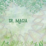 Señor Magia