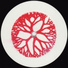 The Early Sound Collective
