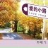 郑晓飞