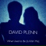 David Plenn