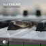 Syntez Atf