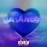 SataNedy