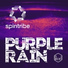 Spintribe