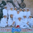 BANDA GARAÑON DE MICHOACÁN