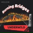 Underwild