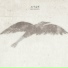 skyflyingby