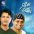 Tutul