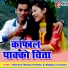 Ramesh Mohan Pandey , Meghna Chandra