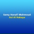 Samy Hanafi Mahmoud