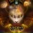 Ascent