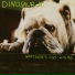 Dinosaur Jr.