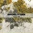 Broeliyoek