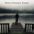 Patrick Siegfried Zimmer feat. Zachary Johnson