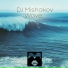 DJ Mishakov