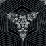Planetary Cymatic Resonance