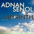Adnan Senol
