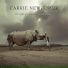 Carrie Newcomer