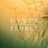 GYVUS