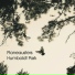 Planeausters