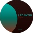 Le Cantin
