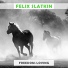 Felix Slatkin