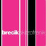 Brecik feat. Miss K