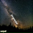 netysil