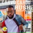 Carvo Cardo