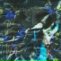 MORIUM