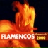 Color Flamenco