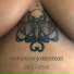 Brig Feltus